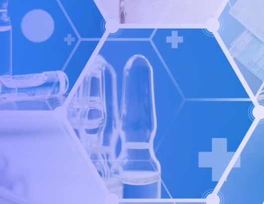 蚂蚁分类信息系统